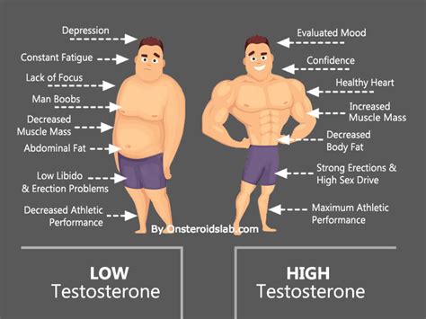 How i doubled my testosterone levels naturally and you can too. Does Working Out Increase Testosterone? - AskTheTrainer.com