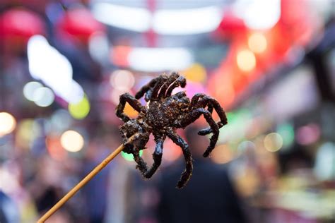 Fried Tarantulas Cambodia One Of The 7 Irresistible Delicacies From Around The World You