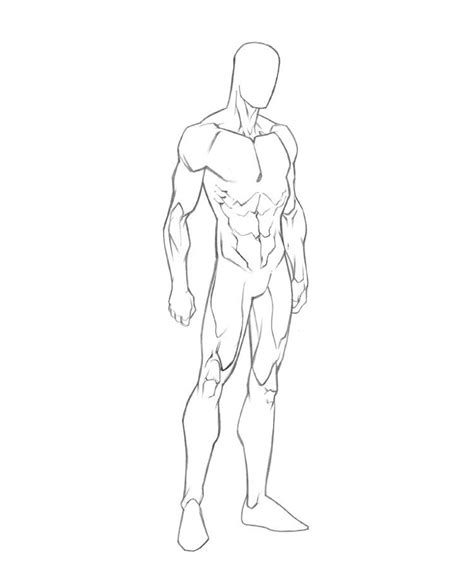 Human Body Outline Drawing At Free For