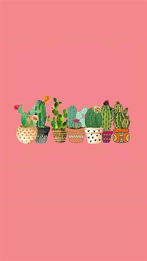Pink Cactus Wallpapers Top Free Pink Cactus Backgrounds Wallpaperaccess