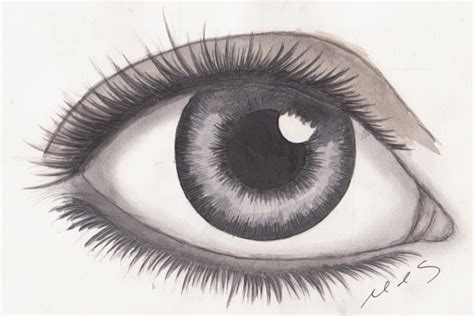 For watching the 2nd part. Realistic Eye Drawing by mhylands on DeviantArt
