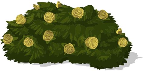 Bush Rosas Amarela · Gráfico Vetorial Grátis No Pixabay