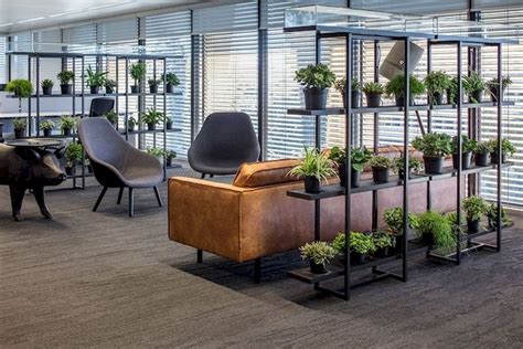 Beautiful Office Plants Without The Worry Mila Davincka Beautiful