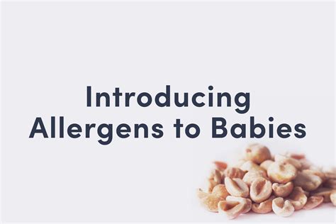 Introducing Allergens To Babies Starting Solid Food Solid Starts