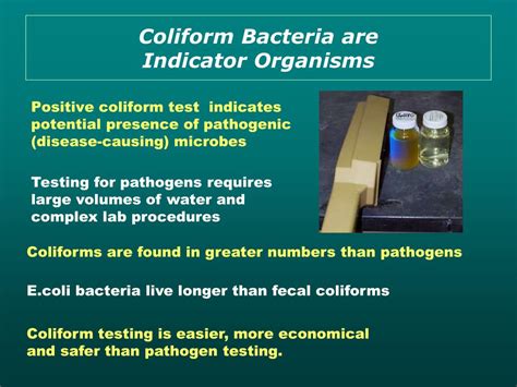 ppt testing new wells for coliform bacteria powerpoint presentation free download id 787250