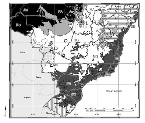 Heavily hunted in the 1900s for its fur, the pampas cat is currently threatened by conflict retaliation for poultry predation, habitat transformation and feral dogs. Records of Pampas Cat, Oncifelis colocolo, in Brazil ...