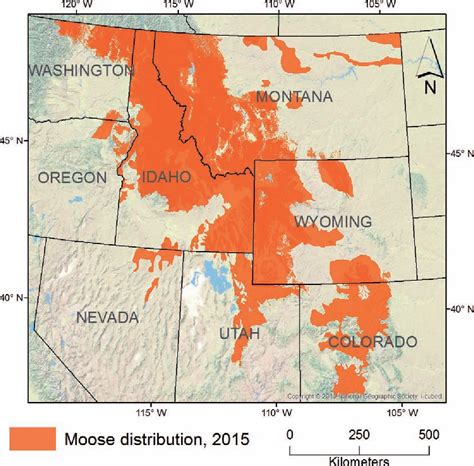 Figure 1 From Status And Trends Of Moose Populations And Hunting