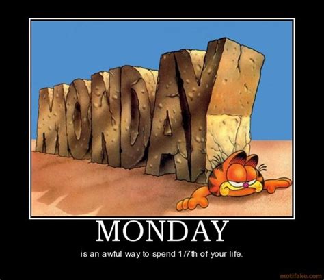 New users enjoy 60% off. funny monday pictures 16 - Dump A Day