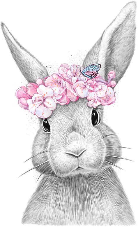 Spring Bunny Art Print By Nikkor Bunny Art Baby Animal Drawings