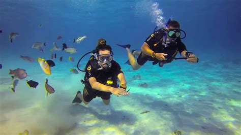 Scuba Diving In Bora Bora And Tahiti Youtube