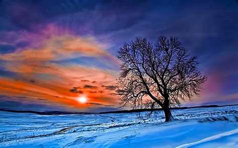 Winter Sunset Hd Wallpaper 50 Images