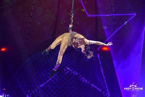 zyair circus booked seats offer bird early each june special before