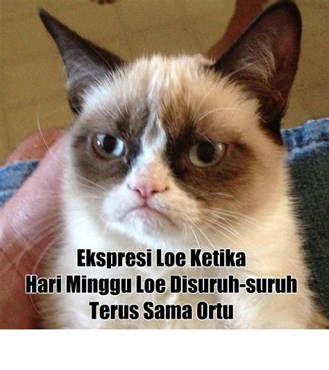 Stiker patrick sindiran viral di media sosial. Komik Meme Campuran Indonesia: Ekspresi Loe Ketika Hari ...