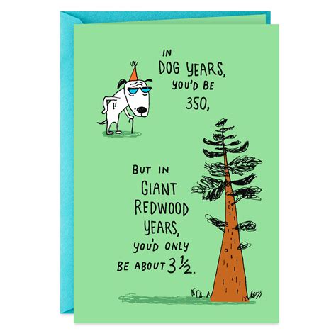 Its All How You Look At It Funny 50th Birthday Card Greeting Cards