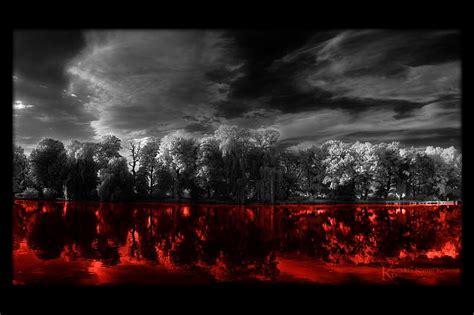 Free Download Red River Red Forest Graphy Scenic Gothic Dark