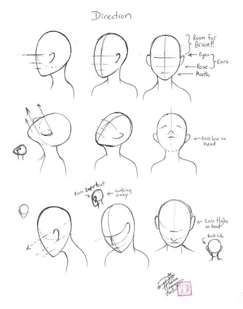 Head Tilted Back Drawing At Getdrawings Free Download