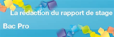 Ils vous seront toujours demandés. Rapport de stage bac pro assp