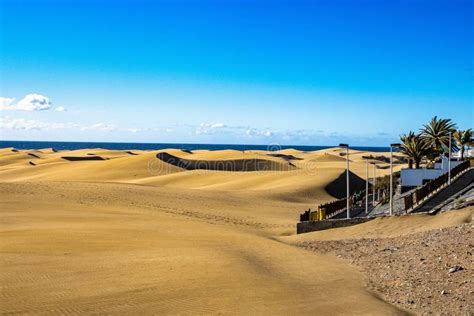 Maspalomas Sand Dunes On The South Coast Of The Island Of Gran Canaria