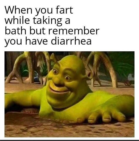 This Sinking Feeling Shrek Memes Best Funny Pictures Shrek Images And Photos Finder