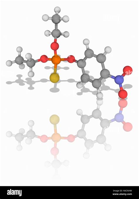 Parathion Molecular Model Of The Organophosphate Chemical Parathion