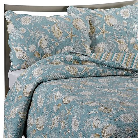 Natural Shells Reversible Quilt In Bluebeige Bed Bath And Beyond Canada
