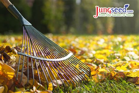 4 Simple Steps For Fall Garden Tool Clean Up Jung Seeds Gardening Blog