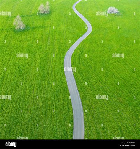Asphalt Countryside Road Winding Through Fields Of Green Grass And