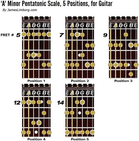 A Minor Pentatonic Scale 5 Positions For Guitarlarge Image