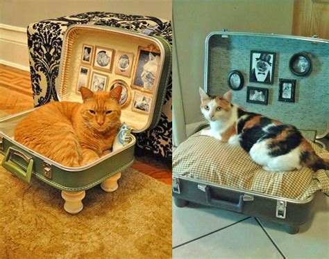 Vintage Suitcase Cat Bed Diy Luggage Cat Bed Diy Cat Bed Box Cat