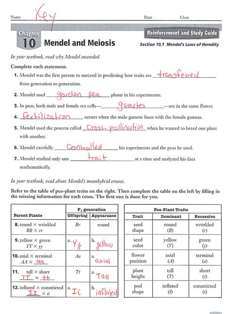 Ap biology students will have two options to answer example questions in the digital testing application. IB Biology - Solalto: 9th Grade - 4th MP
