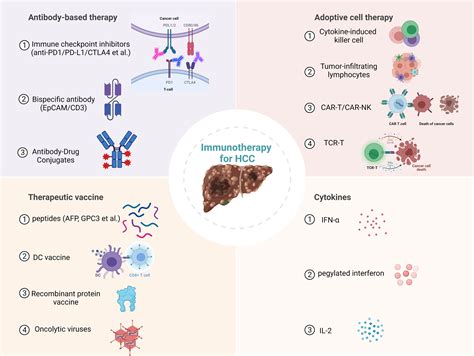Frontiers | Immunotherapy for Hepatocellular Carcinoma: Current Status