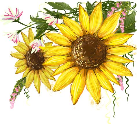 Library Of Sunflower Watercolor Svg Royalty Free Library