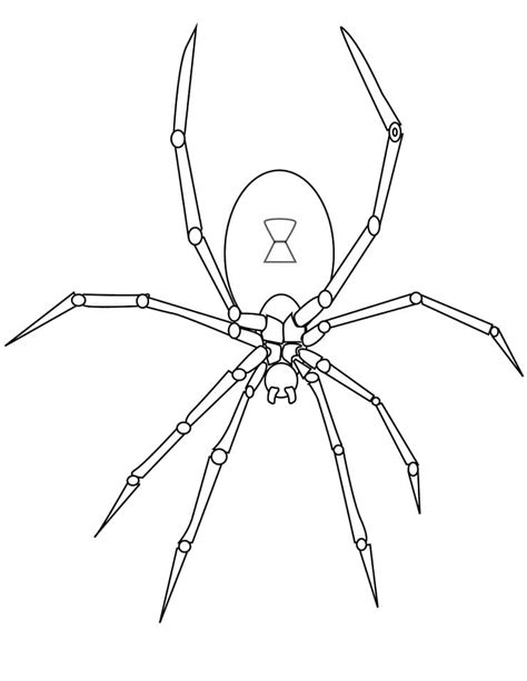 Black Spider Coloring Pages