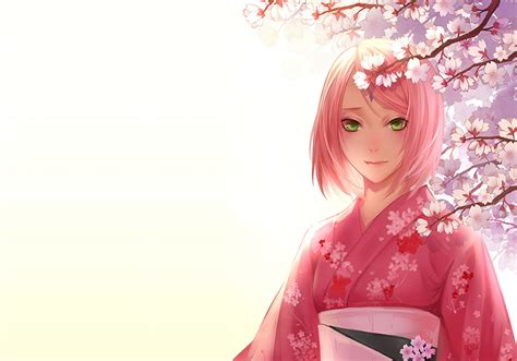 fond d écran 2000x1400 px anime filles anime fleur de cerisier haruno sakura naruto