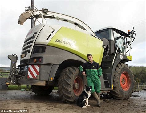 Sheepdog Survives Being Run Over By Tractor In Dorset Express Digest