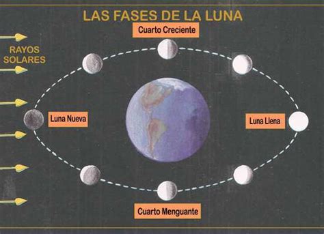La Luna Fases Formacioncaracterísticas Y Curiosidades