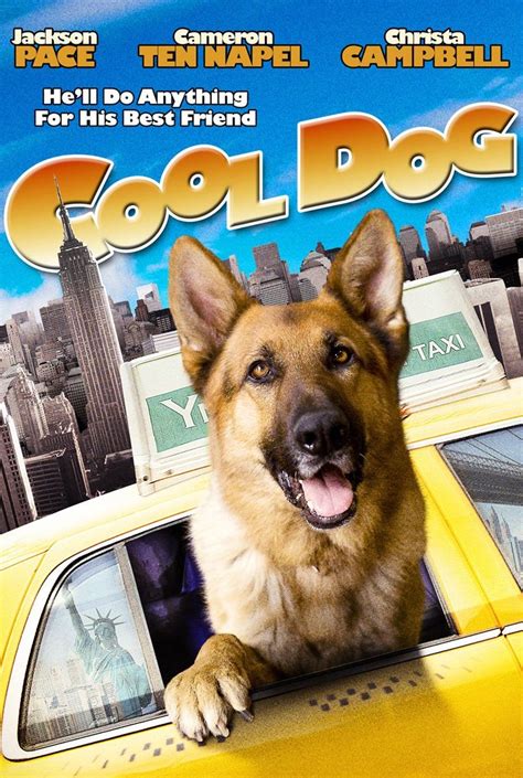 What's the best way to train a dog to run out of a crate? ThaiDVD - Movies, Games, Music, Value
