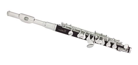 The modern piccolo has most of the same fingerings as its larger sibling, the standard transverse flute. Piccolo Instrument Drawing at PaintingValley.com | Explore ...