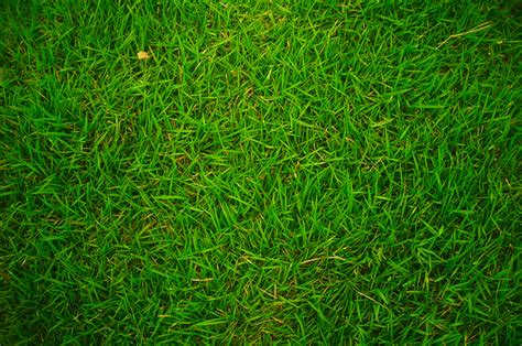 Ready to make some sense of your landscape? Super Soils - Sod