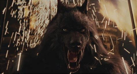 Van Helsing Werewolf Grey Werewolf Van Helsing Wiki Fandom Van Helsing Is In The World