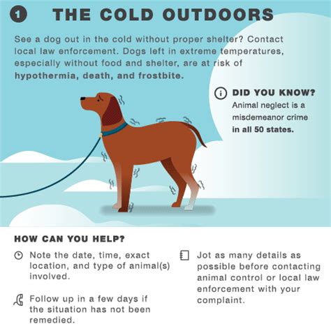 Tips For Keeping Dogs Safe In The Winter Cold Lola The Pitty