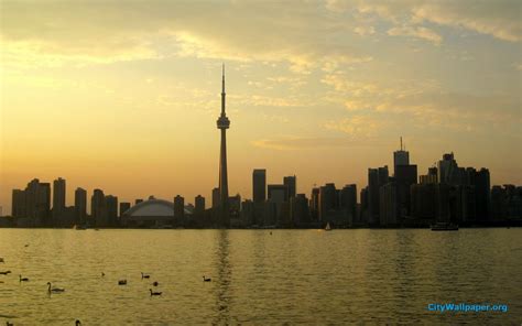 Toronto Skyline Wallpaper 61 Images