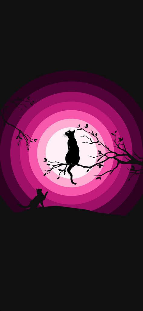 4k Wallpaper Cats Moon Pink Silhouette Black