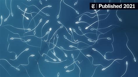 Opinion What Are Sperm Telling Us The New York Times