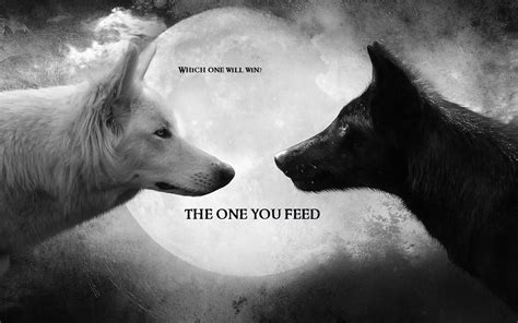 The Story Of The Two Wolves Which One Do You Feed — Steemit Two