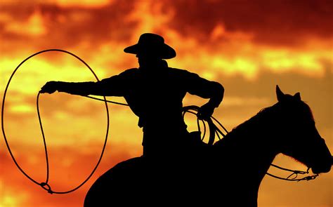 Lasso Sunset Cowboy Photograph By Shawn Hamilton