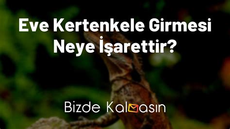 Eve Kertenkele Girmesi Neye İşarettir? - Nasıl Yakalanır?