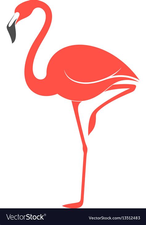 Pink Flamingo Royalty Free Vector Image Vectorstock
