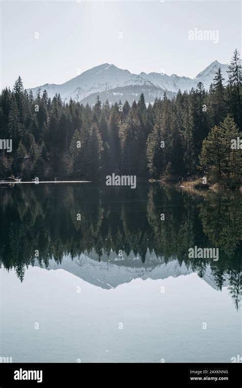 Lake Surrounded By Mountains And Forests With Trees Reflecting On The