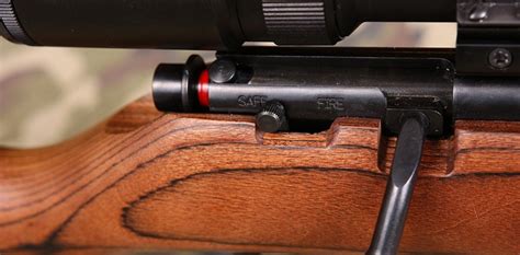 4 Best17 Hmr Rifle For Small And Accuracy Targets 2020